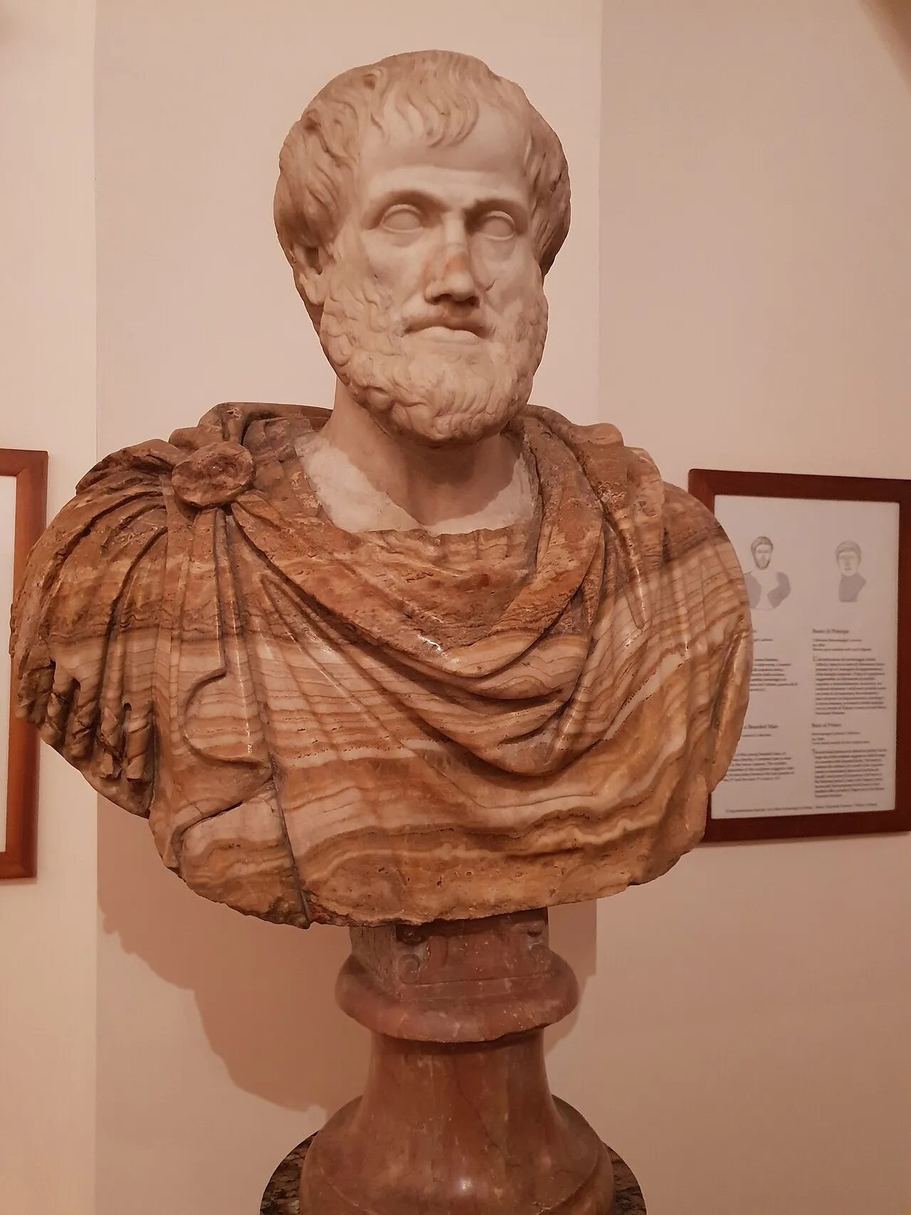 Bust of Aristotle 02.jpg